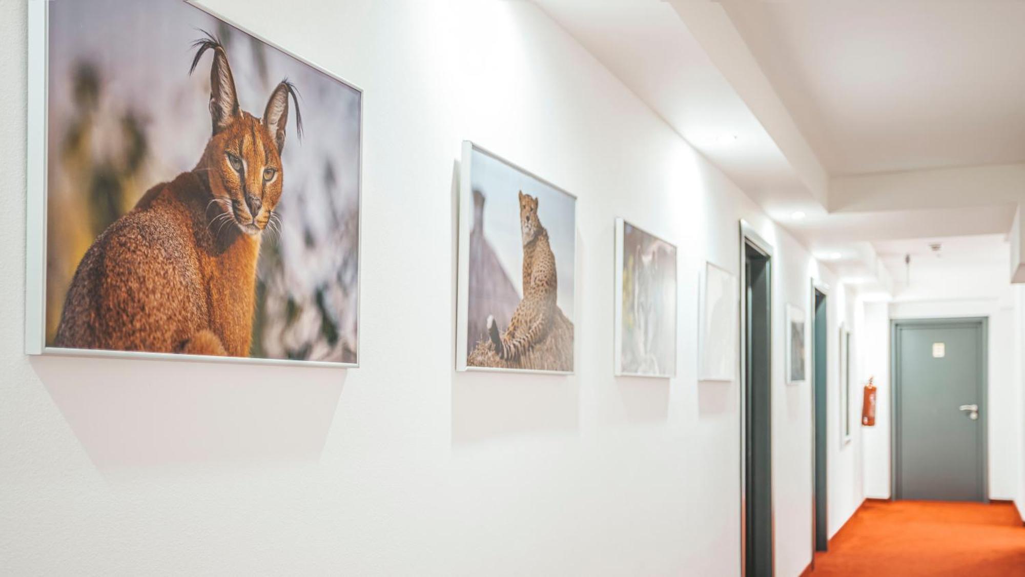 Malkia Penzion Orechová Potôň Exteriér fotografie